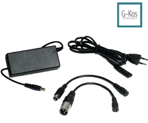 Caricabatteria Bici Elettrica 24 V Per Batteria Al Litio Biciclette Molinari