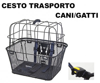 Immagine 1